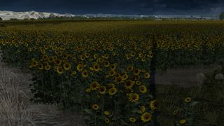 Image by NOFINGNAME4ME