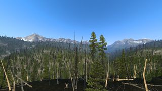 Image by toddr037