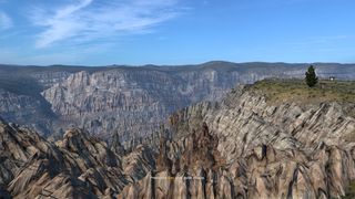 Image by FuraCouro