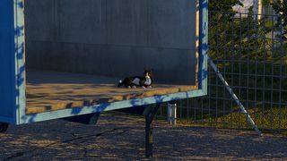 Image by 