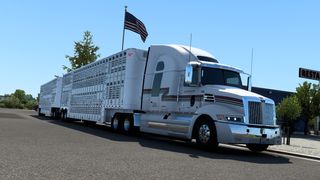 Image by Cleiton_Silva