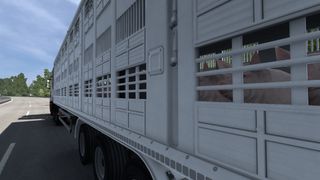 Image by renzcoldsun