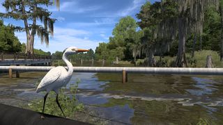 Image by Charlotte_Root