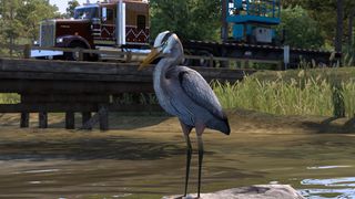 Image by McThunderTruck