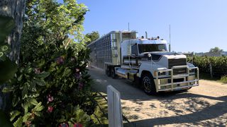 Image by The_Friedel