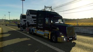 Image by imperial_cebus