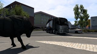 Image by silverleaf178