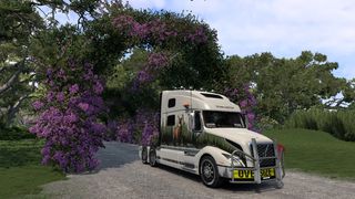 Image by Barbara_TQT