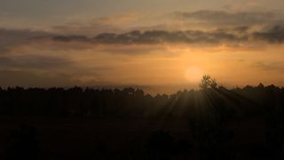 Image by 