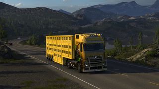 Image by ORNATUSS