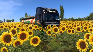 Image by fodd37