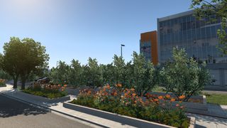 Image by AKicciVasha