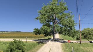 Image by Cane4ek032rus