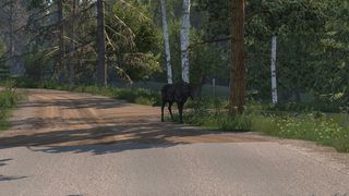 Image by DriverJack60