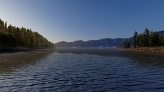 Image by WisePanda64