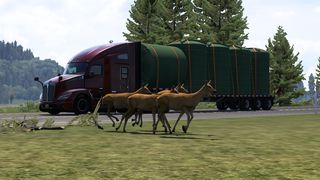 Image by thomasthamrt