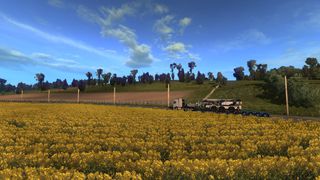 Image by REGIUS_3RZFE