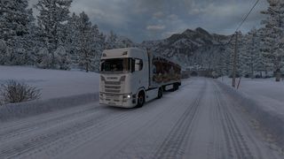 Image by Mamistv1