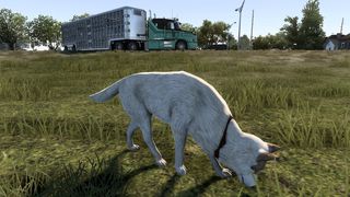 Image by andresbolso11