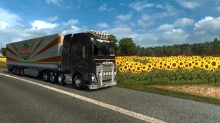Image by petr2500