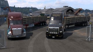 Image by ExaminerIan