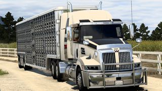 Image by DZIKI_Z_LASU