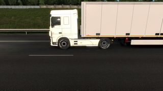 Image by palmtreelogistic