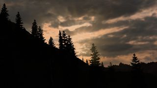 Image by dosybeni777