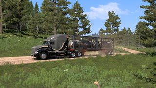 Image by EddavanZwimp