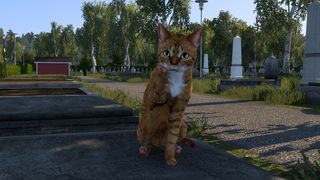 Image by disser90