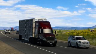 Image by ExaminerIan