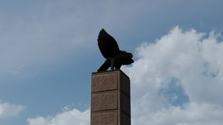 Image by victorjpond