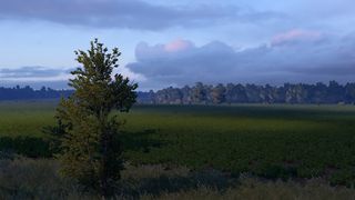 Image by MeasuringSpoon