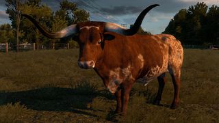 Image by Zigzags1989