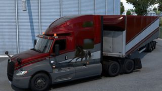 Image by ExaminerIan