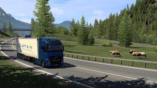 Image by Captain_Dim