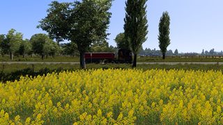 Image by ALONG007