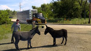 Image by marcelo_cwb