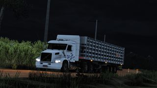 Image by Cleiton_Silva