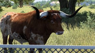 Image by TattedPapaBear