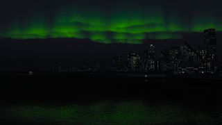 Image by Charlotte_Root