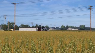 Image by SOKOL_TRUCKING