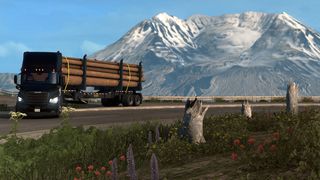 Image by ExaminerIan