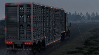 Image by ExaminerIan