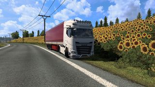 Image by youcefkaa91