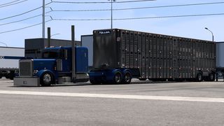 Image by lilraytyler