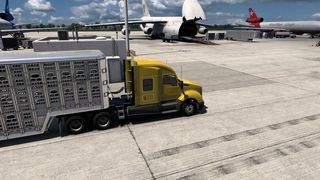 Image by rafael_eurotruck