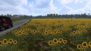 Image by ALONG007