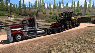 Image by birdman1320