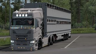 Image by yanibarbayani